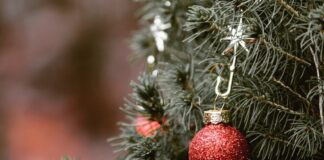 Christbaumabholung am 13. Januar in Hainburg