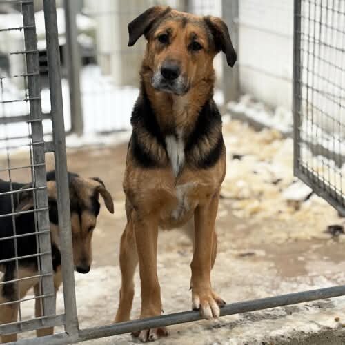 facebook_1769365434606_7421256519832537607 (002)