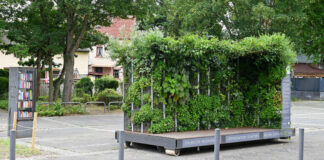 Land unterstützt mehr Projekte für Klimaschutz und der Anpassung an den Klimawandel