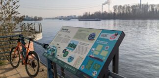 Neue Informationstafeln an Wiesbadener Uferwegen