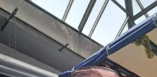 FES macht auch bei den Faschingsumzügen in Frankfurt auf Gefahren durch falsch entsorgte Akkus aufmerksam