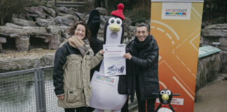Engagement für Artenschutz: Die Eissporthalle bleibt Patin des Humboldt-Pinguins Kufi im Zoo