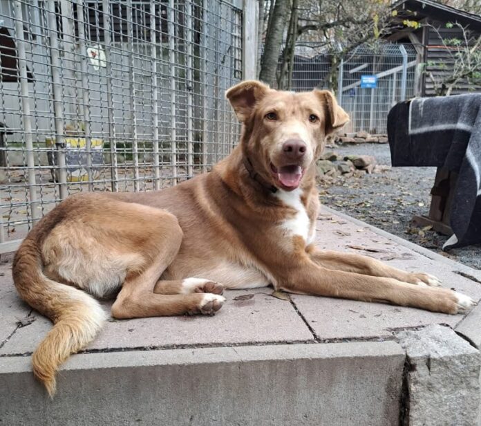 facebook_1770629036008_7426556448244651540