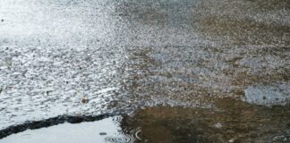 Erste Schlaglöcher in Offenbach werden gefüllt