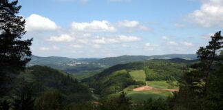 Förderung für kleine Projekte in Odenwald-Gemeinden