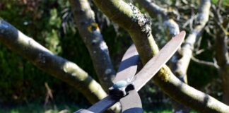 Naturschutz im Frühjahr: Am 1. März beginnt die Brut- und Setzzeit