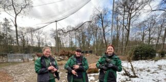 Wiedereröffnung der Großvoliere in der Fasanerie Wiesbaden mit seltener Vogelart