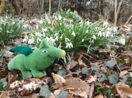 Stadt Frankfurt stellt erneut viele Veranstaltungen im GrünGürtel zu einem Programm zusammen