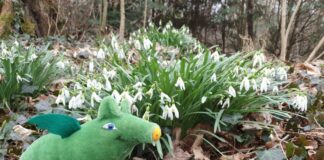 Stadt Frankfurt stellt erneut viele Veranstaltungen im GrünGürtel zu einem Programm zusammen