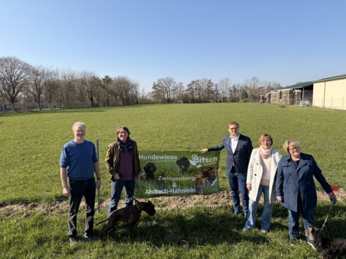 Hundewiese 1