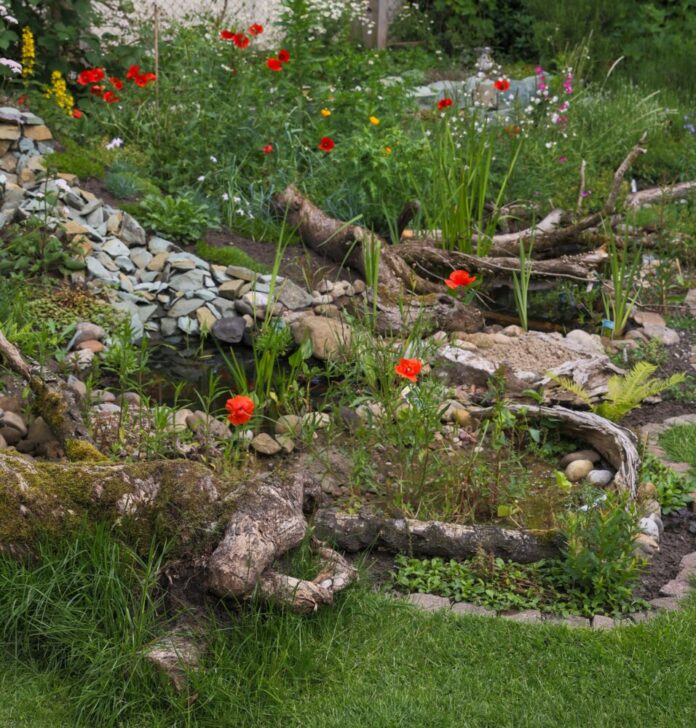 Jetzt bewerben für „Aktion Gartenvielfalt“
