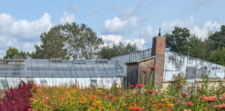 Saatgutbörse im Freilichtmuseum Hessenpark