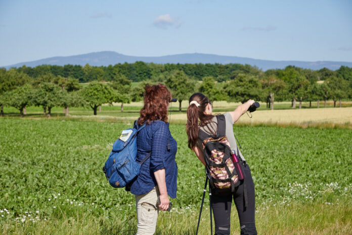 Wandernde im GrünGürtel