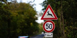 Zeitumstellung mit Folgen