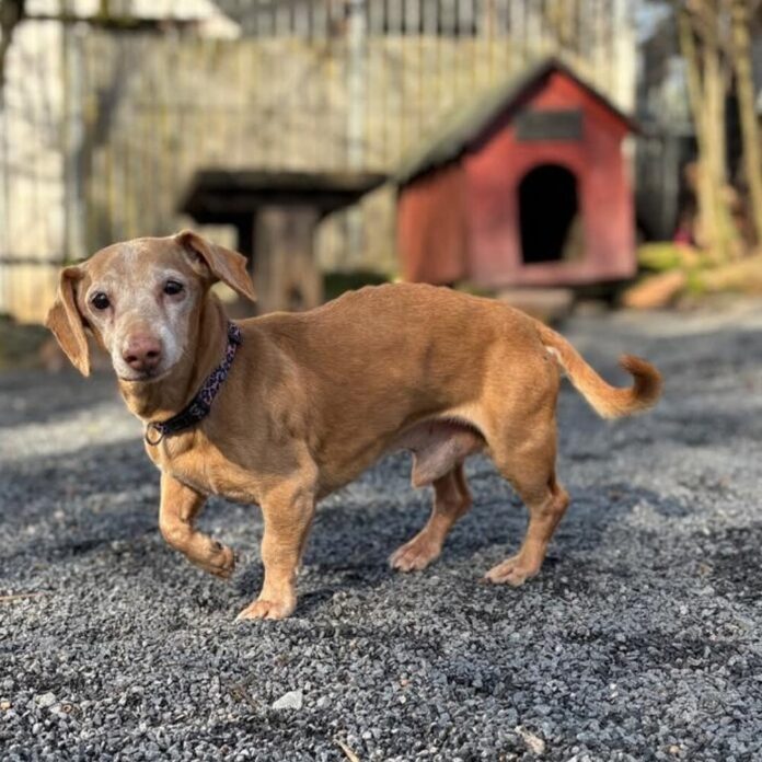 facebook_1772383679317_7433915955696668058