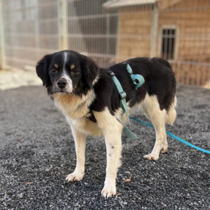 facebook_1773086178110_7436862449192970908 (002)