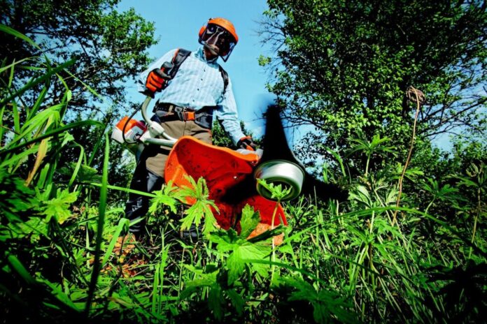 Gartenarbeit Freischneider rmv
