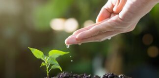 Ihr Geld kann mehr: Volks-Invest macht exklusive Anlagen für alle zugänglich