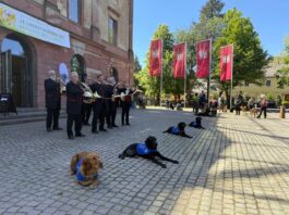 „Charity Working Test“ für Assistenzhunde beim Jagdschloss Platte