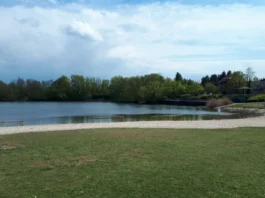 Badesaison am Offenbacher Schultheis-Weiher startet am morgigen Freitag