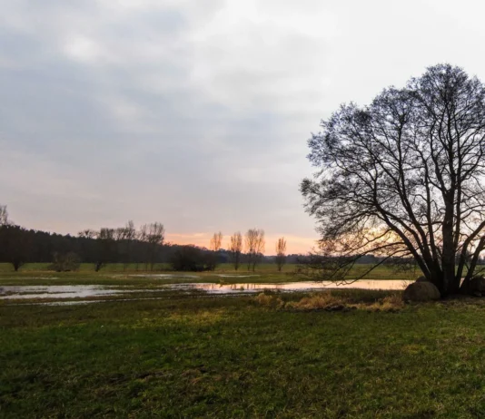 Stadt Offenbach renaturiert südliche Bieber