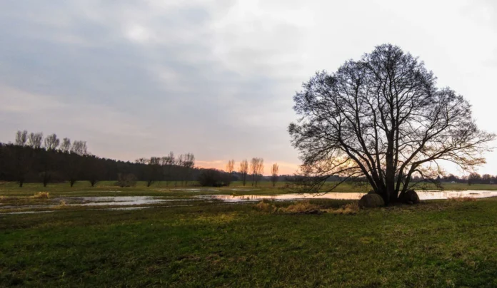 789e45c244396e88ede03fd942124408