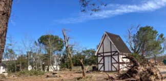 Spendenaktion für den Wald in Erbachs Partnerstadt Ansião