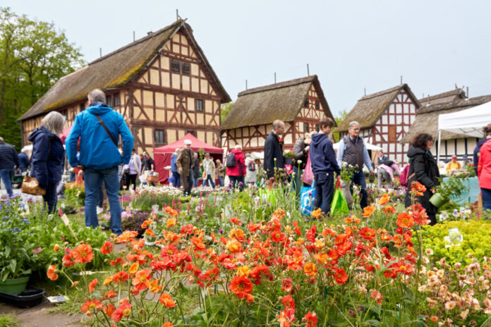 Pflanzenmarkt_Mai_Jens Gerber