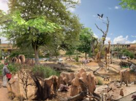 Zoo-Masterplan in Frankfurt geht in die nächste Runde