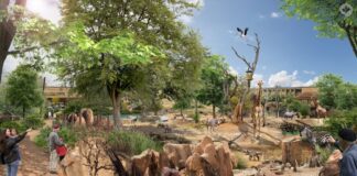 Zoo-Masterplan in Frankfurt geht in die nächste Runde