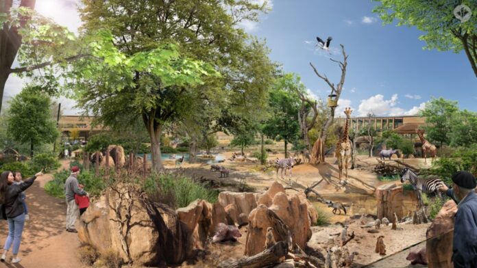 Serengeti-Aussen-Grafik-Copyright-Dan-Pearlman-Erlebnisarchitektur