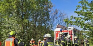 Rund 200 Einsatzkräfte üben Waldbrandbekämpfung bei Bickenbach