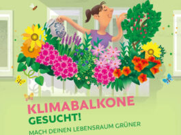 Klimabalkone gesucht: Kreis Groß-Gerau und Kommunen starten Kampagne für mehr Grün