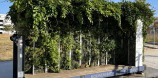 Mobiles Grünes Zimmer kehrt in die Darmstädter Innenstadt zurück