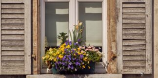 EAD-Pflanztag auf der Kompostierungsanlage Kranichstein