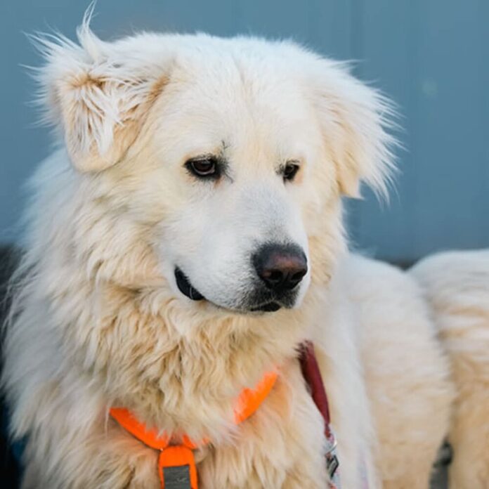 facebook_1776079796473_7449418594666124046 (002)