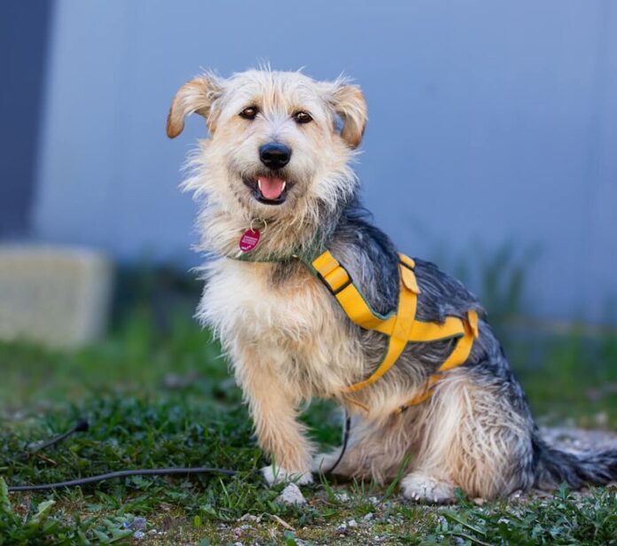 facebook_1776629981973_7451726239912778963 (002)