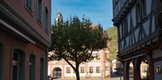 BUND: Mehr Grün in die Städte