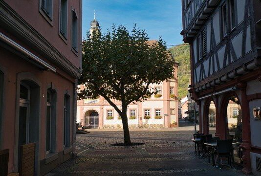 BUND: Mehr Grün in die Städte