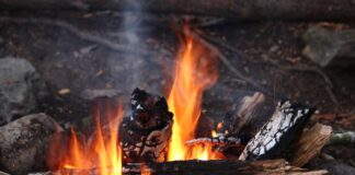 Natur-Erleben in der Fasanerie Wiesbaden