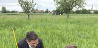 RP Darmstadt stärkt Feldhamster-Schutz
