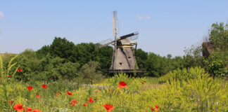 Mühlentag im Freilichtmuseum Hessenpark