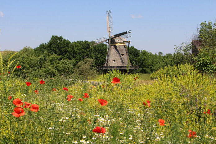 Mühle_Jennifer Furchheim