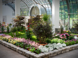 Festival “Science Utopias“ während der Rosenschau im Palmengarten Frankfurt