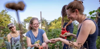 Urban Gardening im SCAPE° Offenbach