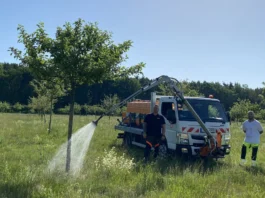 Offenbacher Streuobstwiesen bieten Lebensraum für Tiere und Pflanzen