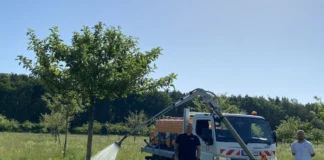 Offenbacher Streuobstwiesen bieten Lebensraum für Tiere und Pflanzen
