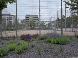 Kicken in der Freizeit: Grünflächenamt Frankfurt erneuert Bolzplätze in Sachsenhausen und im Gallus