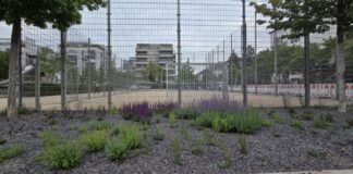 Kicken in der Freizeit: Grünflächenamt Frankfurt erneuert Bolzplätze in Sachsenhausen und im Gallus