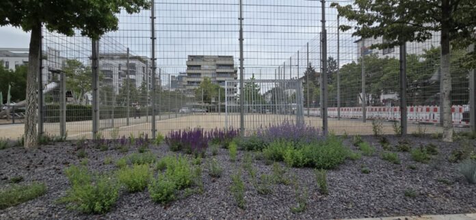 Lotte-Specht-Park-Bolzplatz-2-Copyright-Stadt-Frankfurt-am-Main-Gruenflaechenamt
